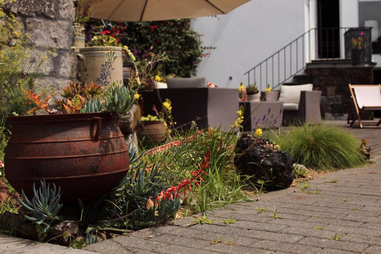 Casa Da Cisaltina Guest House Povoacao  Eksteriør bilde